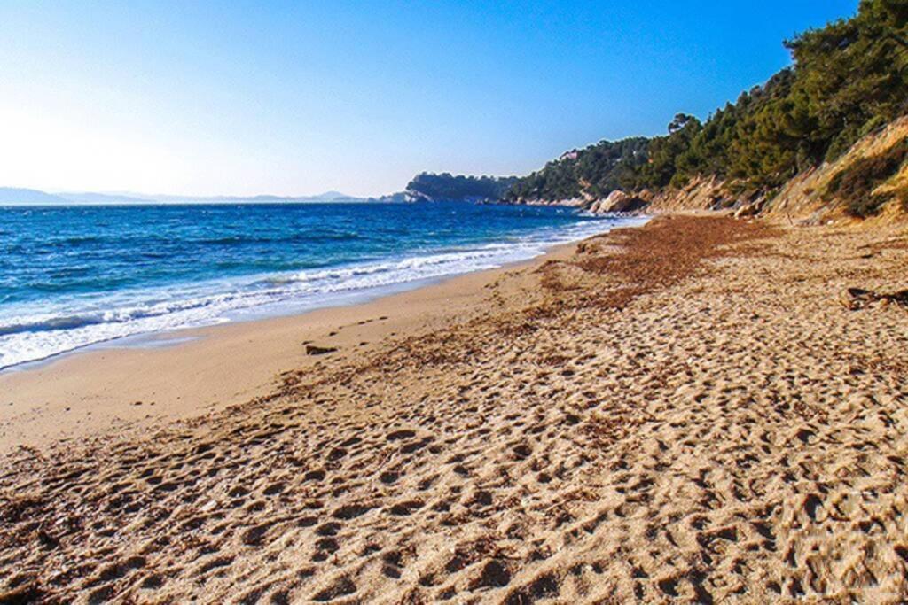 Superbe T2 lumineux 3*** 10 mn à pied de la plage Le Pradet Exterior foto